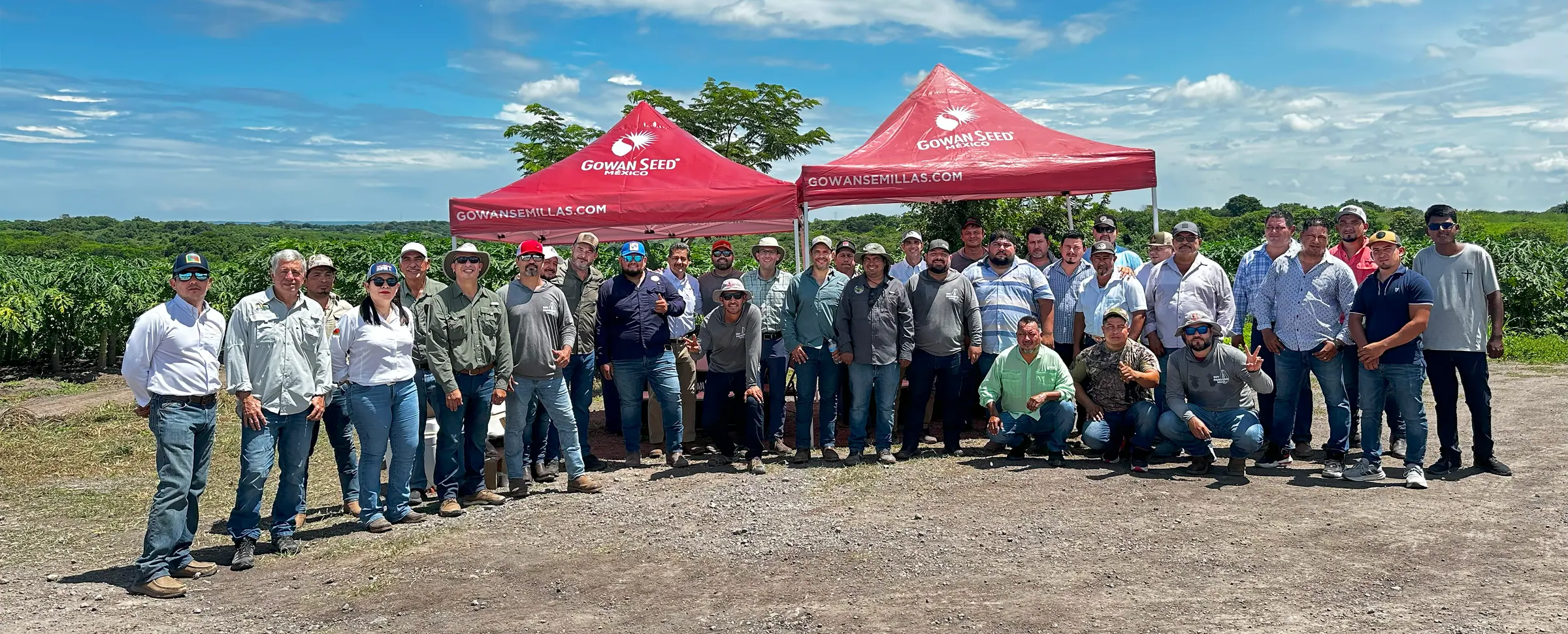 Equipo de Gowan Seed México con productores en un recorrido de campo