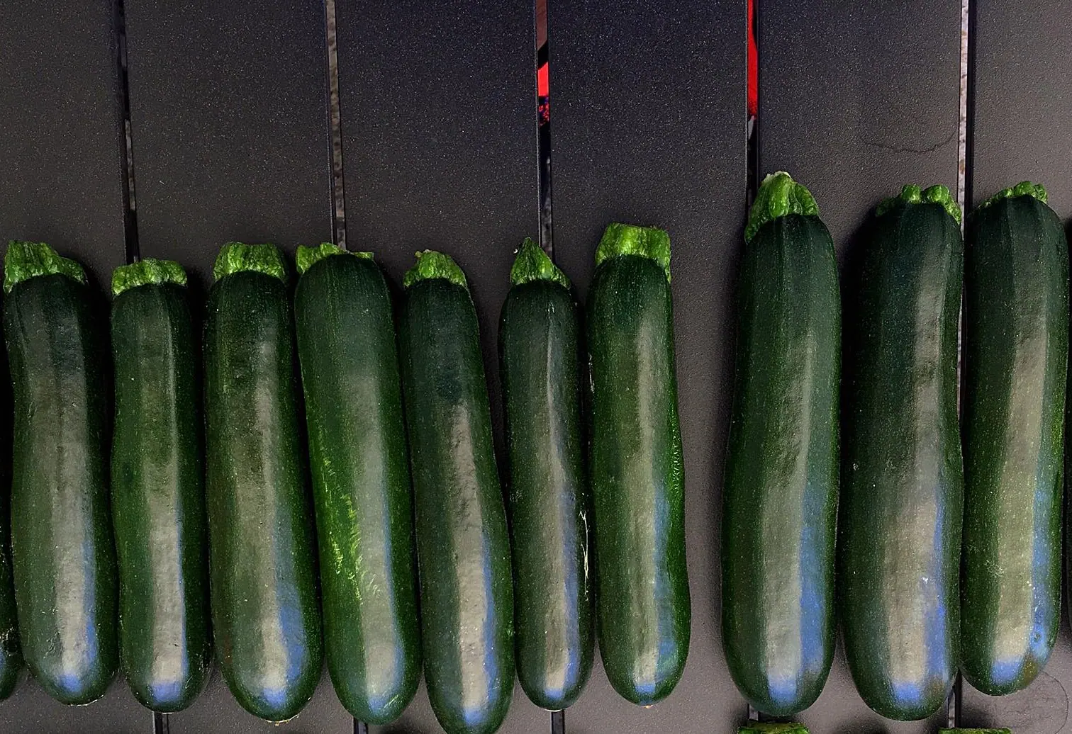 Semilla calabaza torino