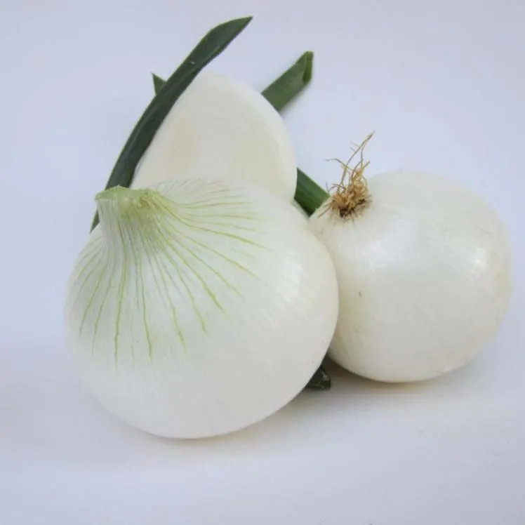 Cebolla Blanca Don Alberto, imagen 1