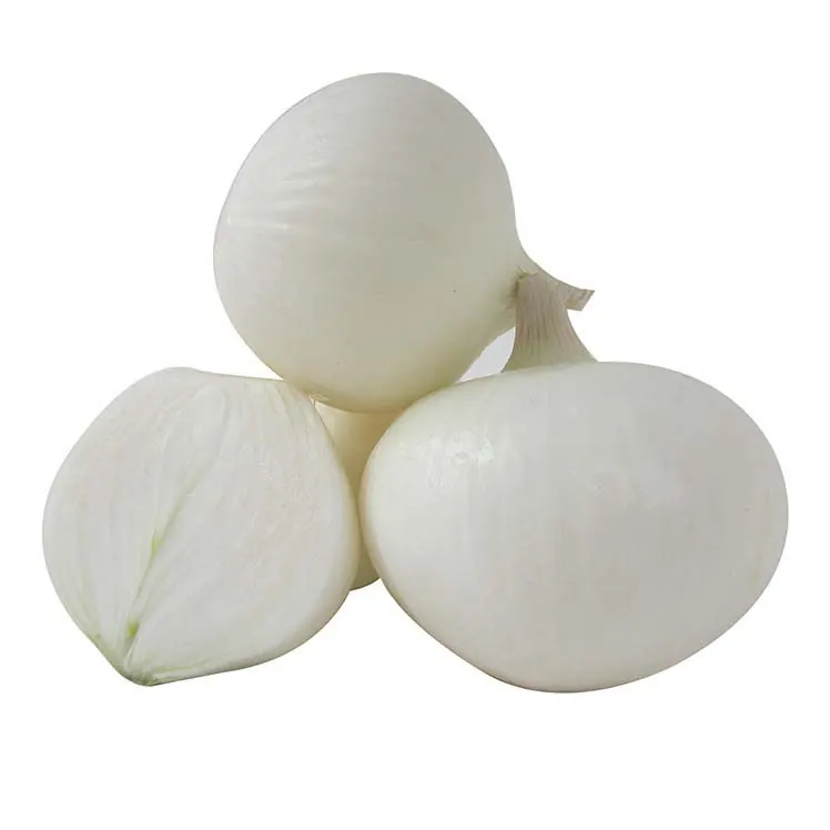 Cebolla Blanca Don Lucas