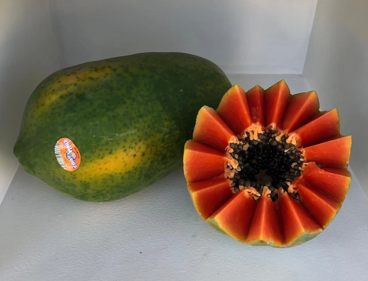 Papaya Vega, imagen 5
