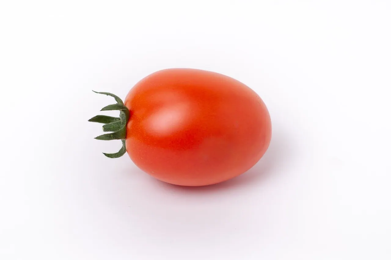 Tomate Indeterminado Blindon, imagen 6
